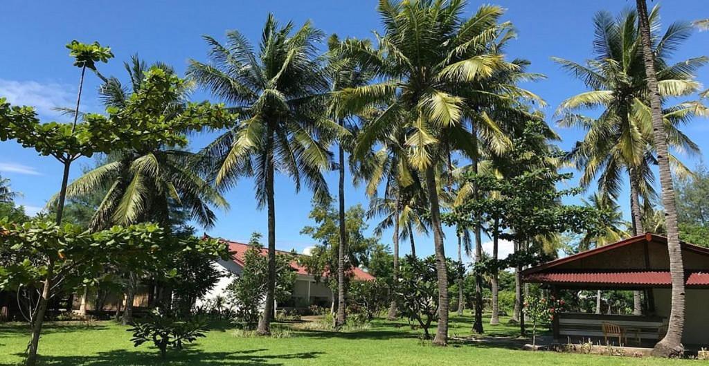 Amigos Bungalows 吉利美诺 外观 照片