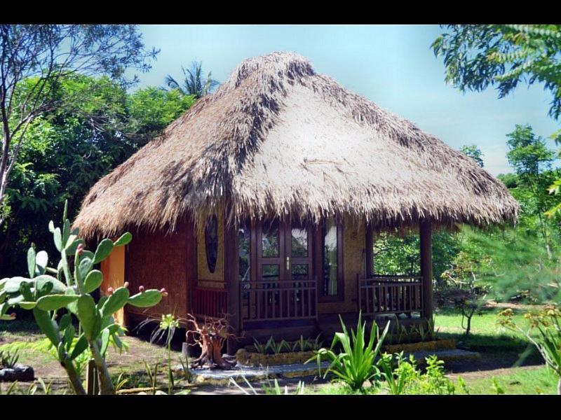 Amigos Bungalows 吉利美诺 外观 照片